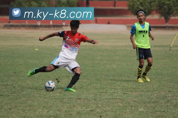 App Interface Preview